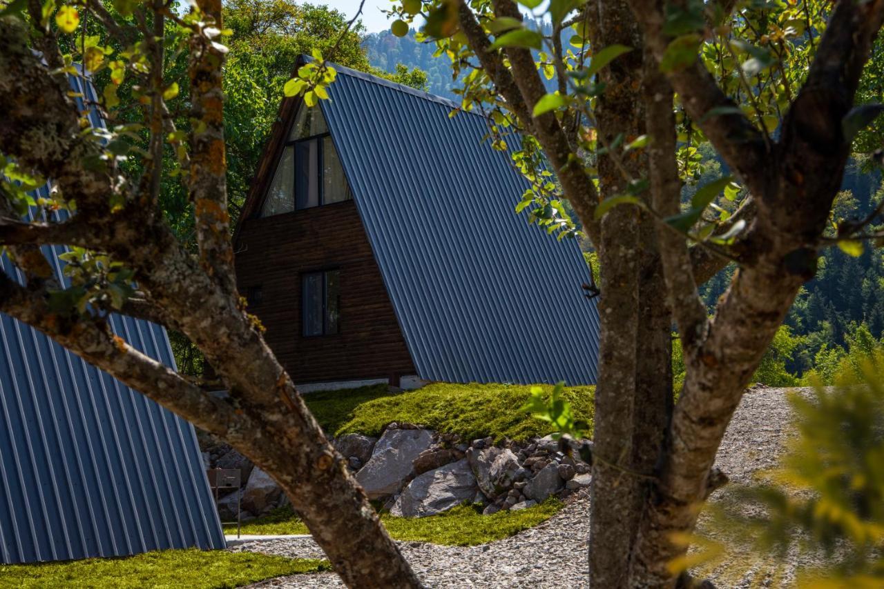 Апартаменты Landhaus Borjomi *