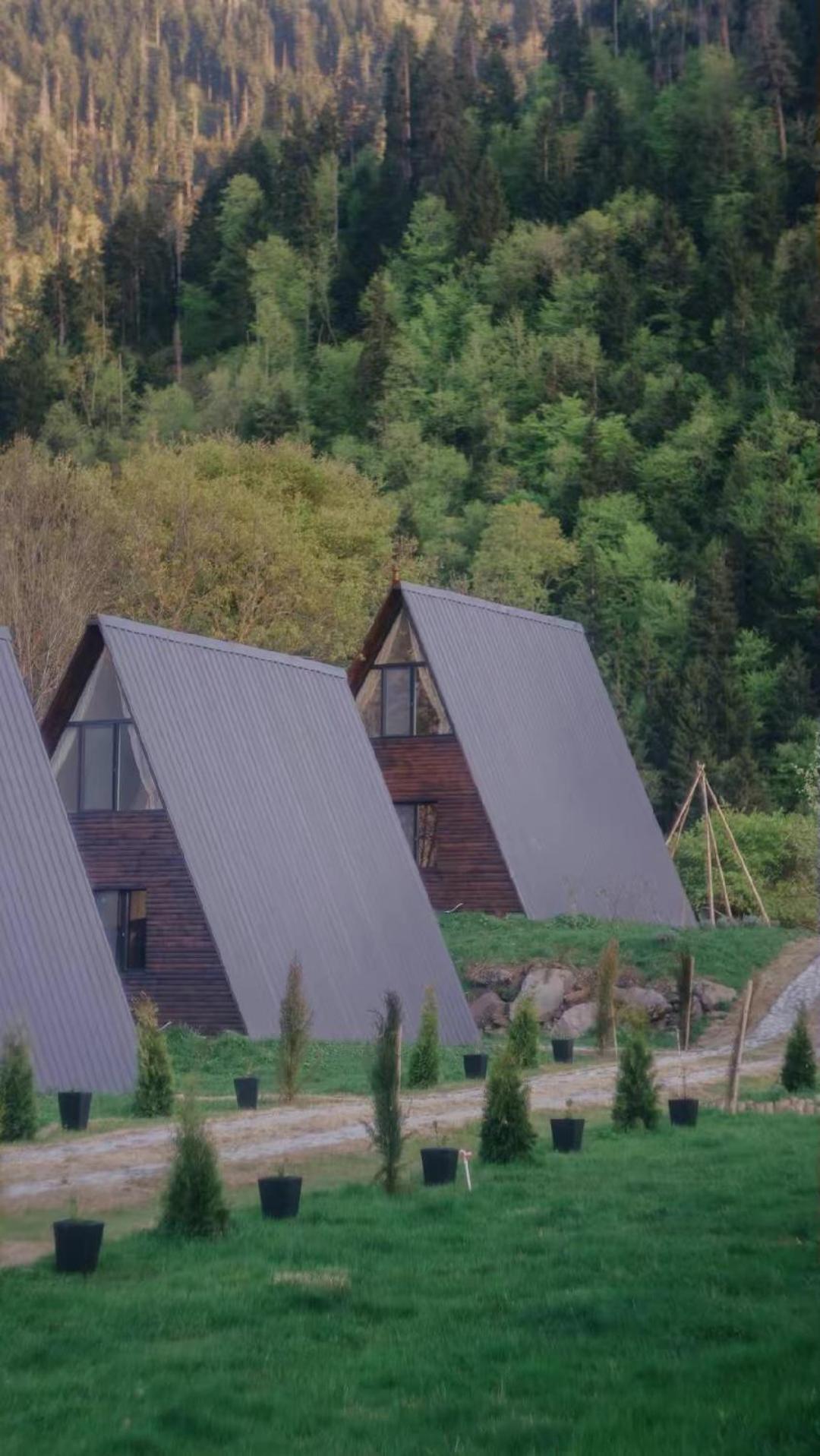 Апартаменты Landhaus Borjomi Боржоми
